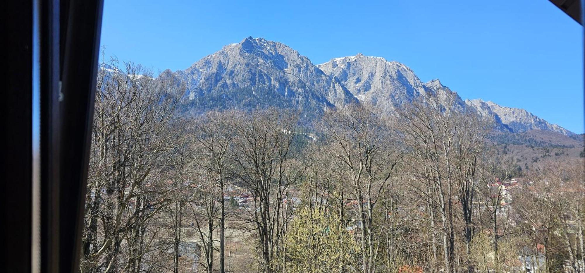 Pensiunea Clasic Busteni Exterior photo